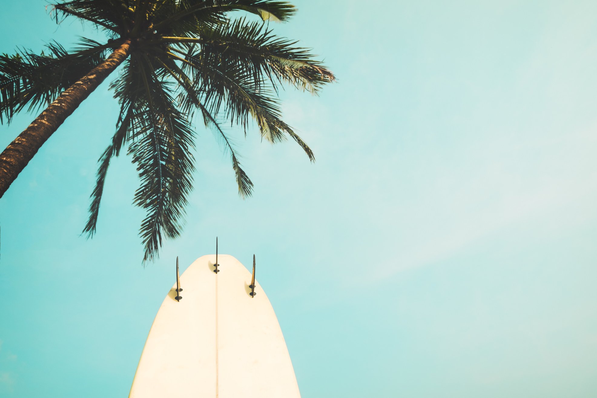 Surf board with palm tree